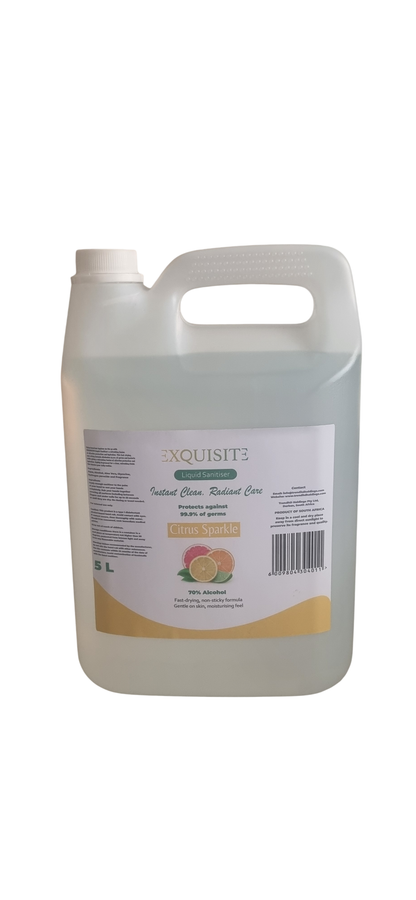 EXQUISITE Liquid Sanitiser _5 LT